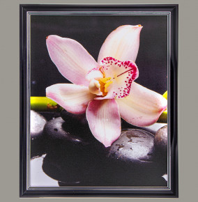 Фотопостер 40 х 50 см  ООО "Лэнд Арт" "Розовая орхидея" /рамка чёрный лак с серебром  / 275091