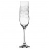 Бокалы для шампанского 190 мл 2 шт  Crystalex CZ s.r.o. "Виола /Платиновые звёзды" / 172119