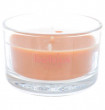 Свеча ароматическая 5 х 8 см в стекле &quot;True scents /Яблоко с корицей /Bolsius&quot; (время горения 13 ч) / 262610