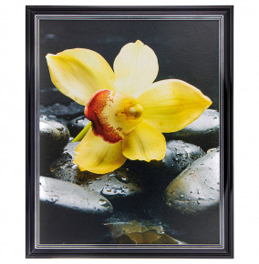 Фотопостер 40 х 50 см  ООО "Лэнд Арт" "Жёлтая орхидея" /рамка чёрный лак с серебром / 275090