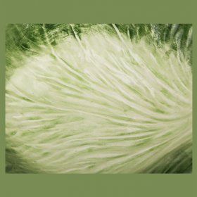 Блюдо 20 х 13 см глубокое лист  Annaluma snc &quot;капуста&quot; (2шт.) / 198780